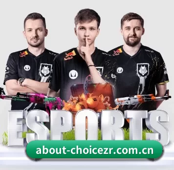 about-choicezr.com.cn APP